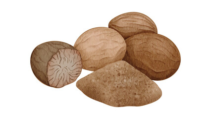 Whole and Ground Nutmeg Spice Illustration with Powder Isolated on White Background