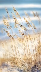 Naklejka premium Serene coastal watercolor illustration of sea oats swaying gently on sunlit sandy dunes