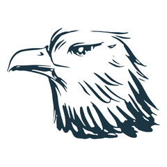 Obraz premium American eagle head hand drawn element