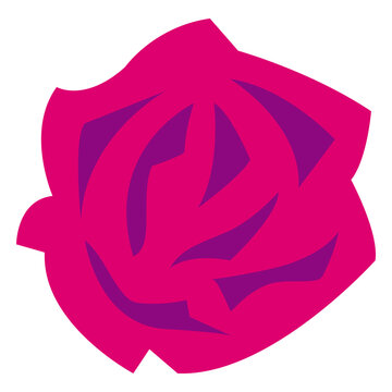 Rose flat fucsia