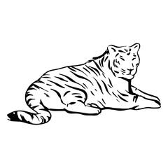 Tiger hand drawn laying © Vexels