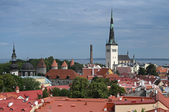 The Old Town of Tallinn. Tallinn cytiscape. Panorama of Tallinn, Estonia.