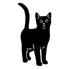 Obraz premium Black cat with tail up cut out