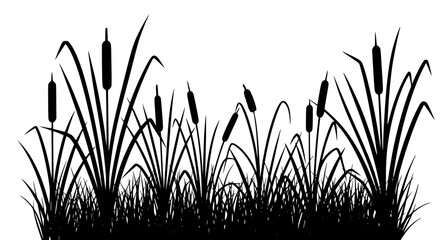 Cattails and reeds silhouette vector river bank wild grass EPS 10 © BadhanChandra