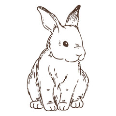 Fototapeta premium Hand drawn sitting bunny animal
