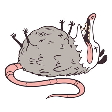 Cartoon opossum with its mouth open