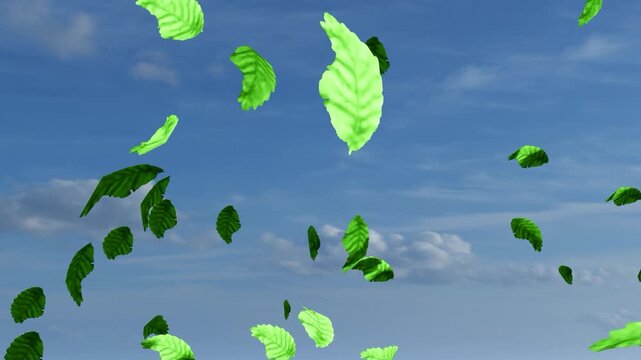 Fresh Green Leaves Falling and Blowing in the Wind Against a Clear Blue Sky with White Clouds