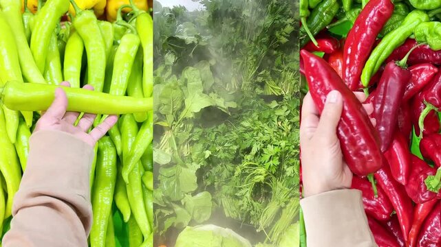 choosing peppers, eggplant, zucchini at the grocery store