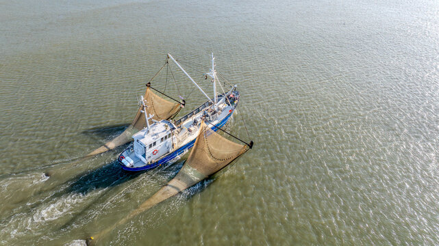 Aerial view of a fishing boat with expansive nets trawling through the serene, shimmering waters under a clear sky, Wijk aan Zee, North Holland, Netherlands.