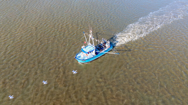 Aerial view of a blue fishing boat cutting through the shallow, sun-kissed waters, leaving a frothy wake, as seagulls circle inquisitively, Wijk aan Zee, North Holland, Netherlands.