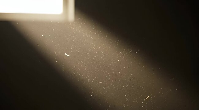Sunbeam illuminating dust particles suspended in the air, a serene and contemplative atmospheric shot