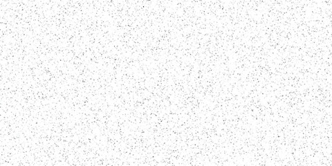 Obraz premium Abstract speckled background with a mosaic of tiny grey and white irregular polygons forming a subtle textured surface for graphic design and digital art