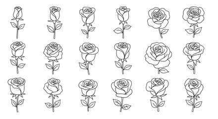 Collection of Rose Illustrations in Line Art Style.