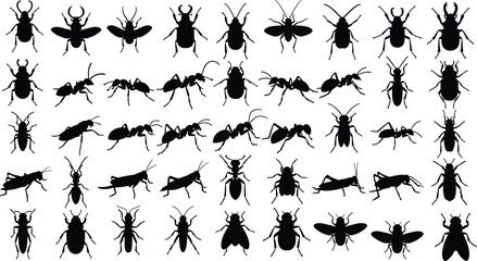 Insect silhouette vector, bug illustration graphic, entomology artwork design, beetle clipart icon, ant shape artwork, fly insect symbol, grasshopper nature graphic © MstGeasmin