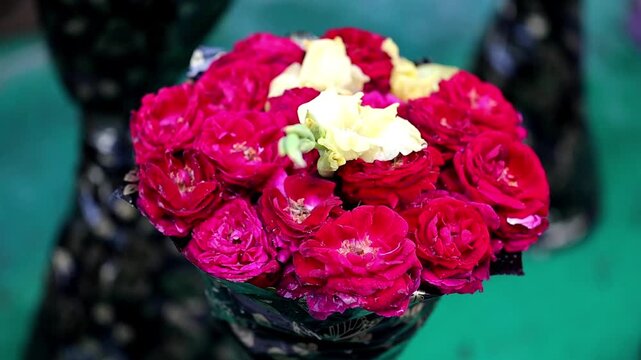 Slow Motion Shot of Bouquet of roses with pink and yellow blooms arranged in a floral paper wrapper on green background at 180 fps High quality footage