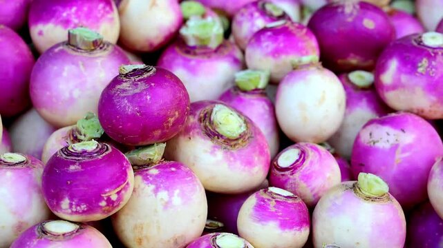 Slow Motion Shot of Turnips, vibrant purple and white root vegetables, stacked in a pile at a farmer's market during the daytime at 180 fps High quality footage