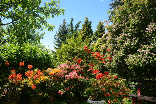 Fr&uuml;hling 690