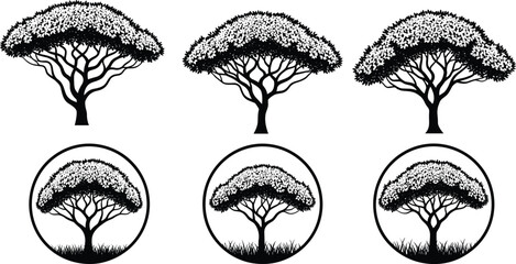 Wheat stalk decorative illustration, agricultural harvest pattern, organic crop artwork, nature inspired motif, farming background design, golden grain texture, rustic sketch © Mst