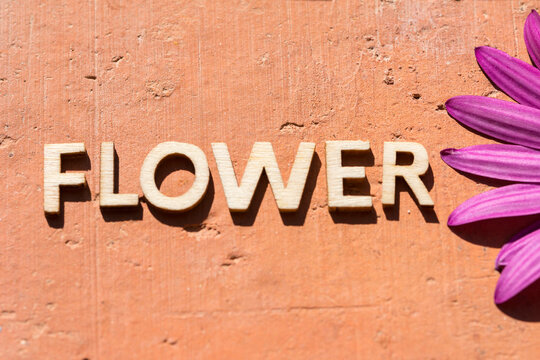 letras de flor en ingl&eacute;s
