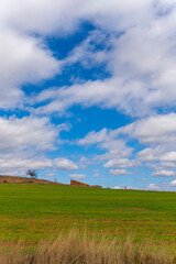 Obraz premium Spring blossom background. Beautiful nature scene with blooming almond tree on sunny day. Winter flowers. Beautiful orchard in Teruel Aragon Spain