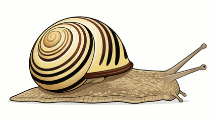 vector snail on a white background