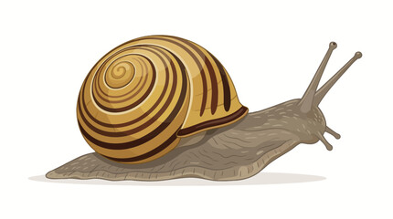 vector snail on a white background