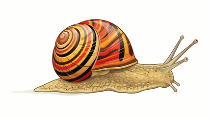 vector snail on a white background