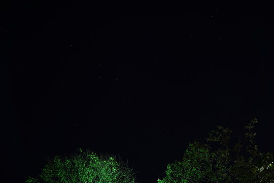 Noite Estrelada com Arvores