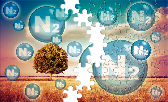 NITROGEN GAS, N2, AS A KEY PIECE OF EARTH&rsquo;S ATMOSPHERIC PUZZLE - CONCEPT WITH NITROGEN MOLECULES OVER RURAL LANDSCAPE, ENVIRONMENTAL SCIENCE AND NATURAL BALANCE