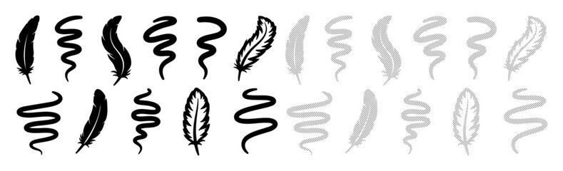 Collection of abstract swirls and feather shapes in black and gray © MDTUHIN