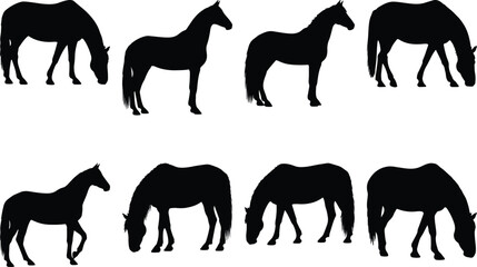 A collection of eight majestic horse silhouettes in various dynamic and peaceful poses, including standing tall and gracefully grazing, ideal for equestrian designs and nature-themed projects.