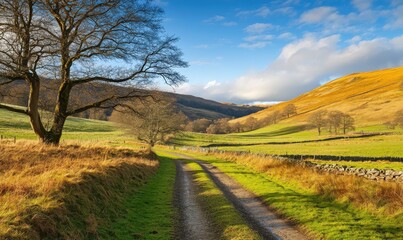 Fototapeta premium Serene countryside scene with a narrow dirt road winding through green meadows under a bright blue sky, with golden sunlight illuminating the hills