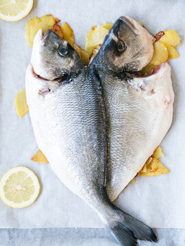 Two fresh sea bream fish forming heart shape
