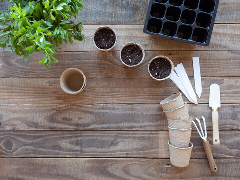 Gardening tools with soil, pots, and plants