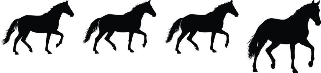 Obraz premium A striking series of four black horse silhouettes showcasing fluid walking and trotting movements, expertly isolated against a pristine white background, evoking a sense of majestic power.