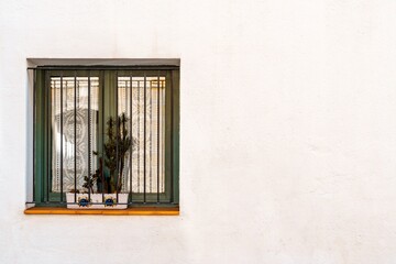 Fototapeta premium White façade of a house and window with bars and a plant inside.