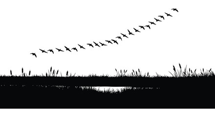 A flock of birds flies in a curved formation above a grassy shoreline creating a striking silhouette high quality professional detailed © GDMala02