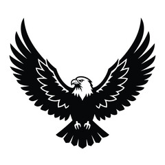Obraz premium Majestic eagle spreading wings in powerful flight