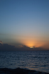 Cole&ccedil;&atilde;o de fotos da natureza com flores, plantas e animais em ambiente natural