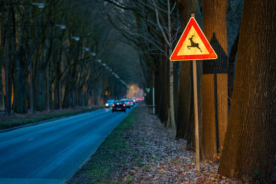 warning sign of wildlife crossing the road in Bremen-Oberneuland