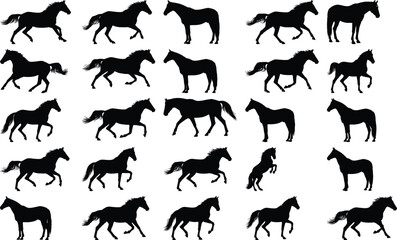 Fototapeta premium Collection of black horse silhouettes in various dynamic poses, showcasing different gaits and actions on a white background.