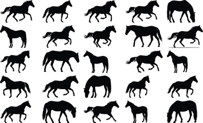 Fototapeta premium Diverse set of black horse silhouettes illustrating a range of motion and poses, including grazing and running, against white.