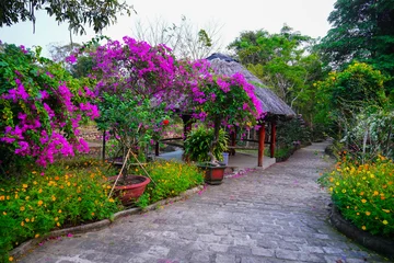 Fotobehang Bonsai Flowering Bougainvillea shrubs in plant containers in garden. Decorative garden pot for bonsai trees. Picturesque garden typical of Southeast Asia. Botanical garden  © MaxSafaniuk