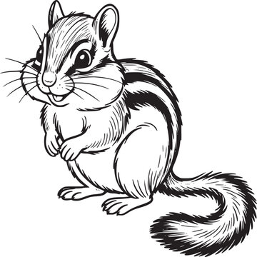 A detailed black and white line drawing of a chipmunk sitting upright with a bushy tail curled around