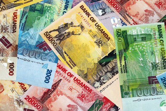 Ugandan shilling paper banknotes pile on table. Uganda UGX currency money bills in big amount. Concept of economics, taxation and banking in Uganda