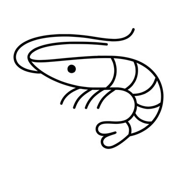 Outline Shrimp or Prawn Icon Vector Illustration