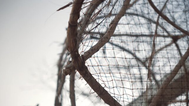 Crafting a fishing net using sticks and string near the water at dusk