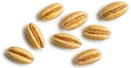 Obraz premium Scattered wheat kernels on white background food cereal