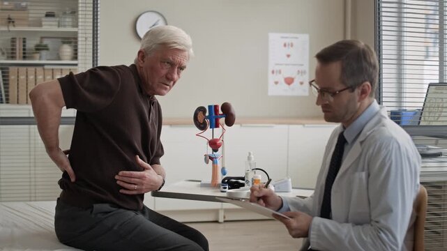 Senior male patient suffering back pain explaining symptoms to male urologist during medical consultation in modern clinic, eyelevel medium shot with kidney model on desk