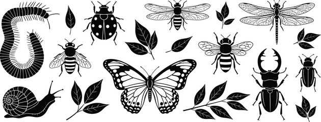 Insect silhouettes vector, butterfly dragonfly beetle, ladybug caterpillar snail, bees flying illustration, nature leaves design, biodiversity art, entomology concept © Creative Crave